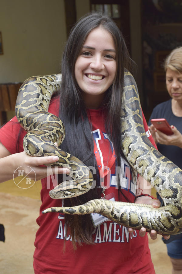 Buy your photos of the eventNR1 - Cl�ssico 16 a 19/06/19 on Fotop