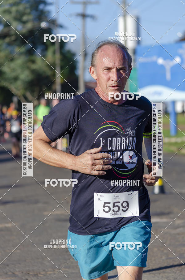 Buy your photos of the event1 Corrida SOS Bichos on Fotop