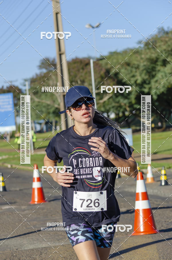 Buy your photos of the event1 Corrida SOS Bichos on Fotop