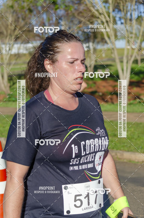 Buy your photos of the event1 Corrida SOS Bichos on Fotop