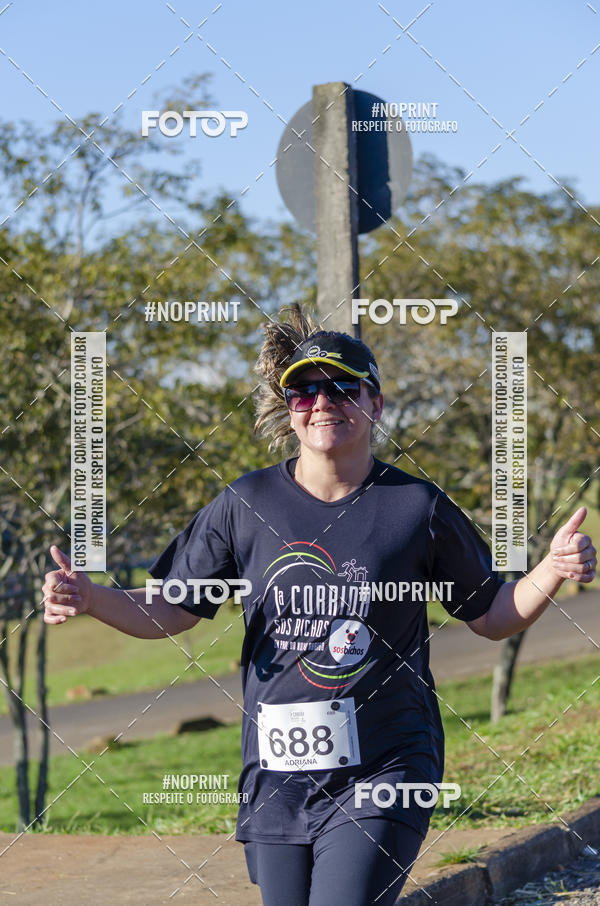 Buy your photos of the event1 Corrida SOS Bichos on Fotop