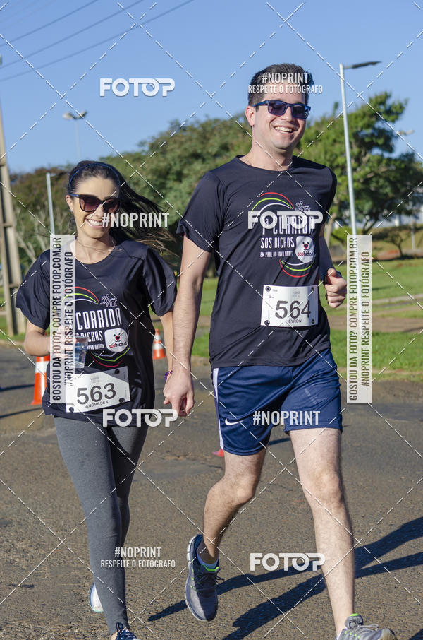 Buy your photos of the event1 Corrida SOS Bichos on Fotop
