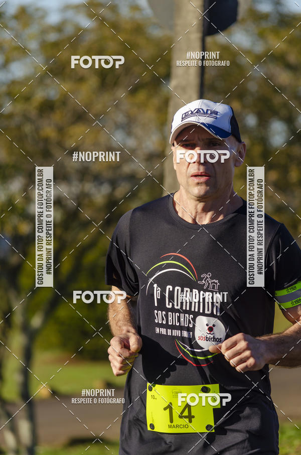 Buy your photos of the event1 Corrida SOS Bichos on Fotop