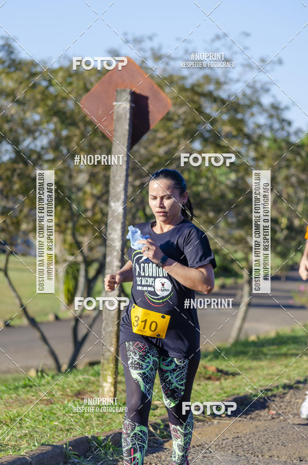 Buy your photos of the event1 Corrida SOS Bichos on Fotop
