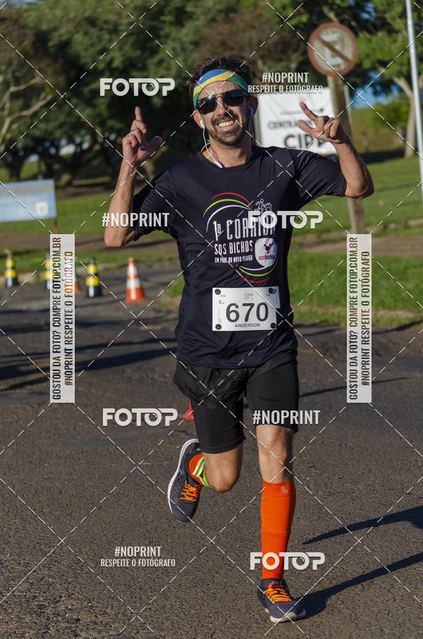 Buy your photos of the event1 Corrida SOS Bichos on Fotop