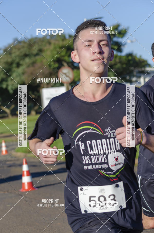 Buy your photos of the event1 Corrida SOS Bichos on Fotop