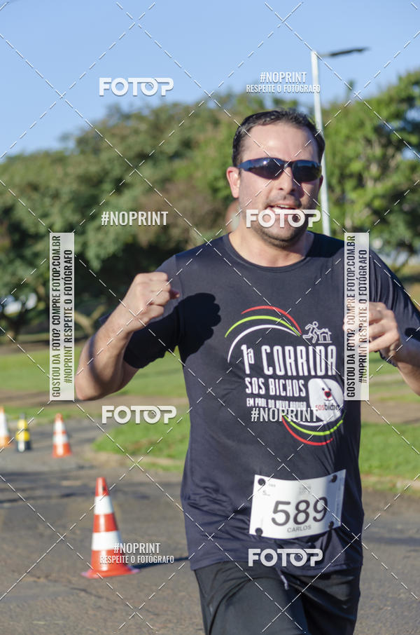Buy your photos of the event1 Corrida SOS Bichos on Fotop
