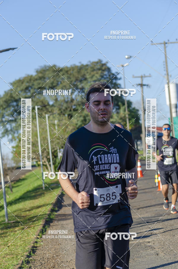 Buy your photos of the event1 Corrida SOS Bichos on Fotop