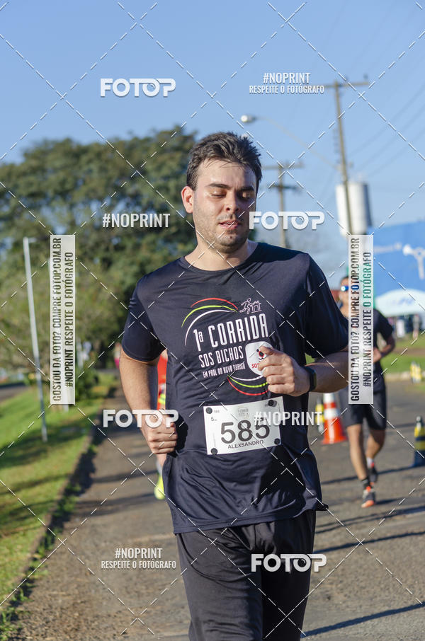 Buy your photos of the event1 Corrida SOS Bichos on Fotop