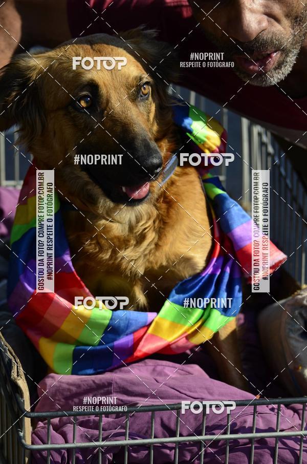 Buy your photos of the event23 PARADA DO ORGULHO LGBT DE SO PAULO on Fotop
