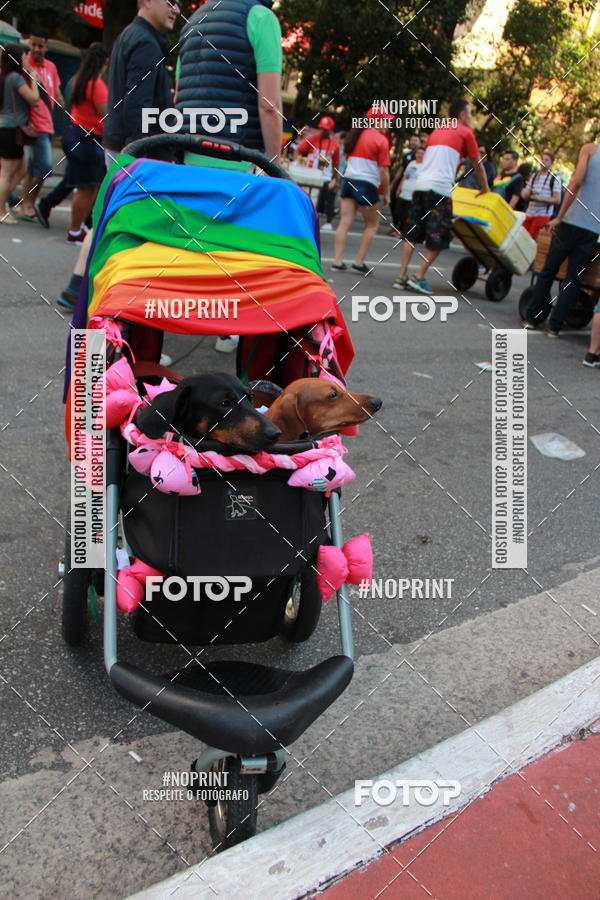 Buy your photos of the event23 PARADA DO ORGULHO LGBT DE SO PAULO on Fotop