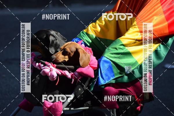 Buy your photos of the event23 PARADA DO ORGULHO LGBT DE SO PAULO on Fotop