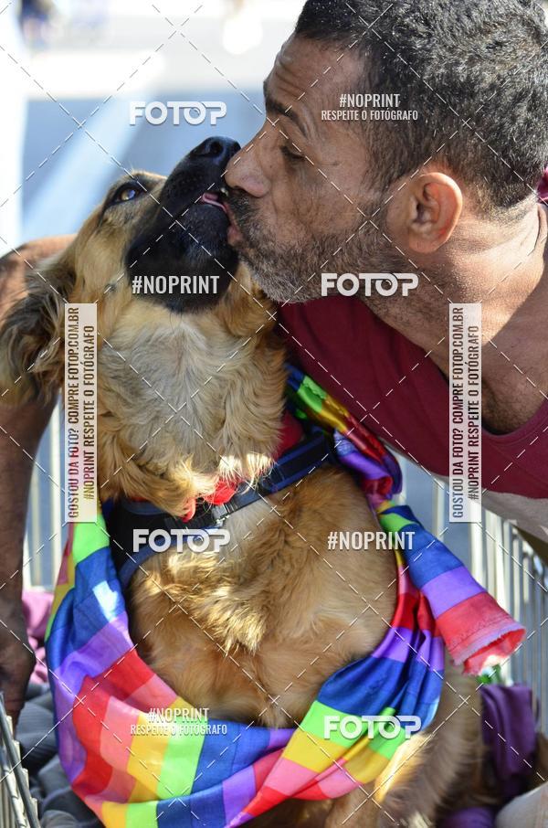 Buy your photos of the event23 PARADA DO ORGULHO LGBT DE SO PAULO on Fotop