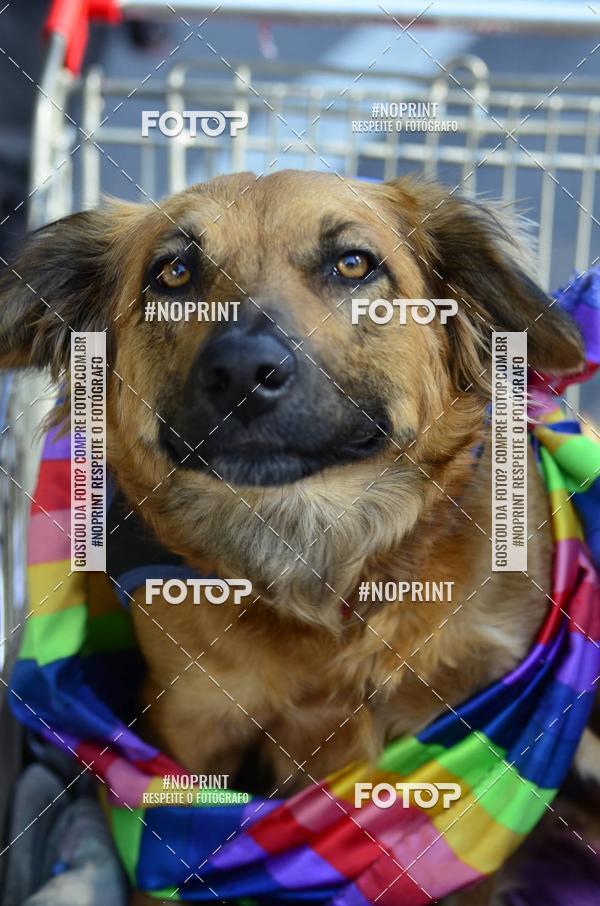 Buy your photos of the event23 PARADA DO ORGULHO LGBT DE SO PAULO on Fotop