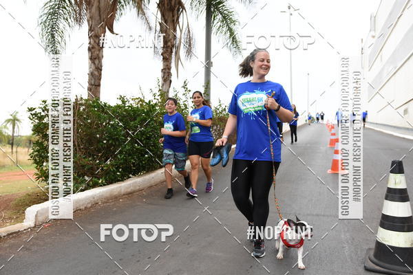 Buy your photos of the eventCorrida Insana 2019 -  Braslia on Fotop