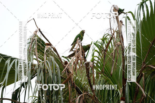 Buy your photos of the eventCorrida Insana 2019 - Campinas on Fotop