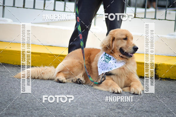 Buy your photos of the eventCorrida 6k Litoral & Co Veloz Dog Run on Fotop