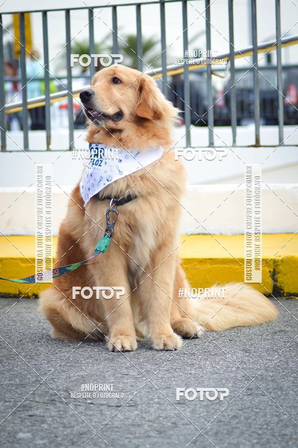 Buy your photos of the eventCorrida 6k Litoral & Co Veloz Dog Run on Fotop