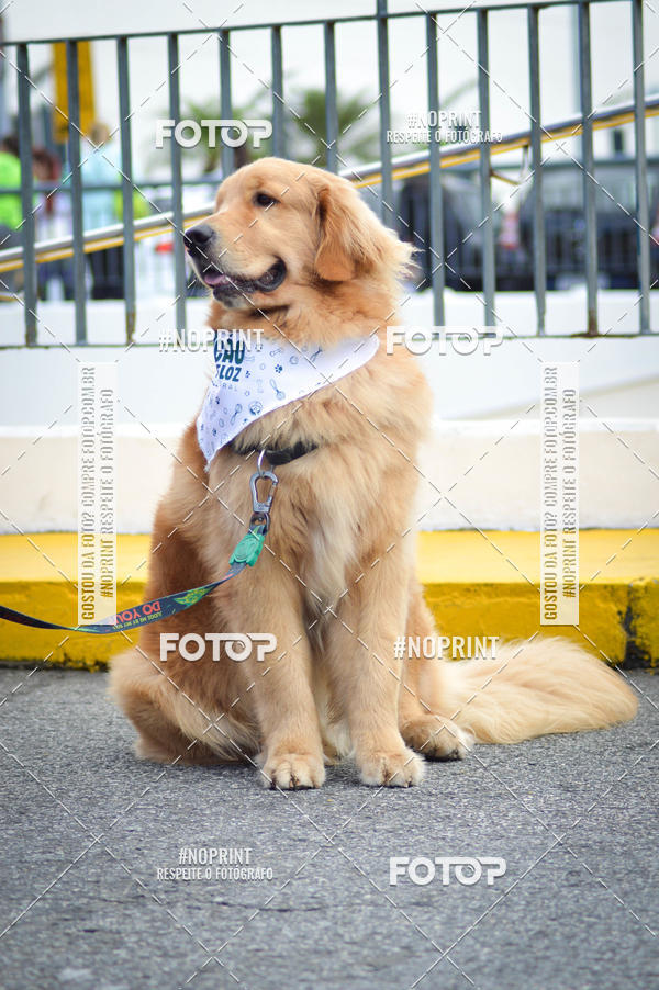 Buy your photos of the eventCorrida 6k Litoral & Co Veloz Dog Run on Fotop