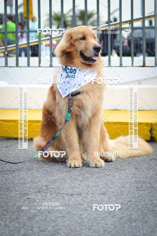Buy your photos of the eventCorrida 6k Litoral & Co Veloz Dog Run on Fotop