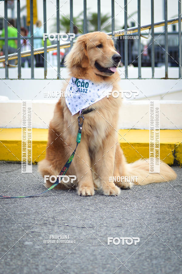 Buy your photos of the eventCorrida 6k Litoral & Co Veloz Dog Run on Fotop