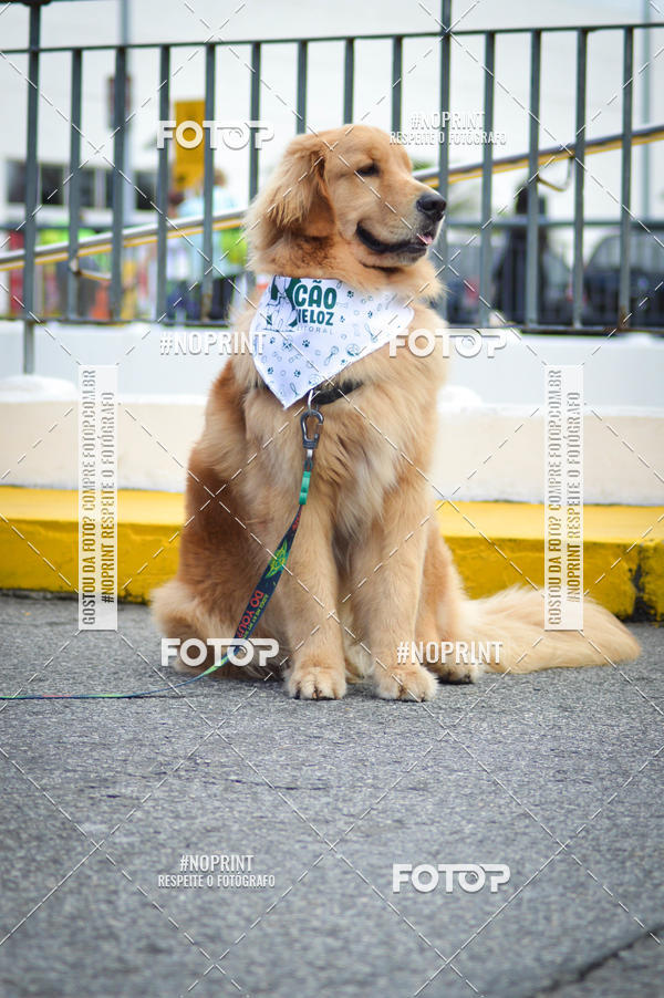 Buy your photos of the eventCorrida 6k Litoral & Co Veloz Dog Run on Fotop