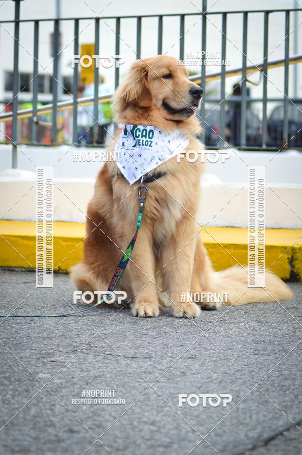 Buy your photos of the eventCorrida 6k Litoral & Co Veloz Dog Run on Fotop
