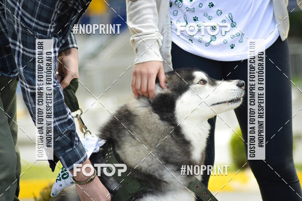 Buy your photos of the eventCorrida 6k Litoral & Co Veloz Dog Run on Fotop