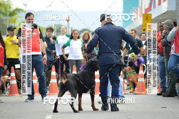 Buy your photos of the eventCorrida 6k Litoral & Co Veloz Dog Run on Fotop