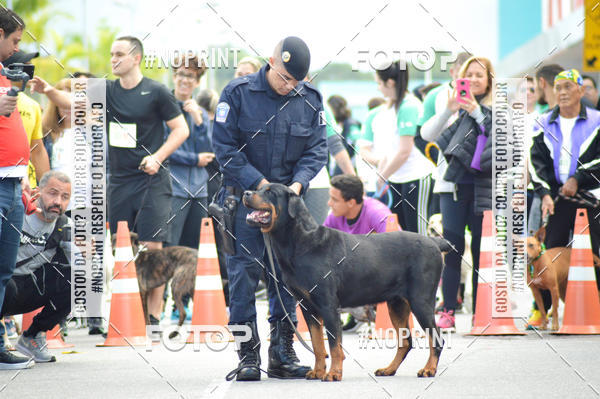 Buy your photos of the eventCorrida 6k Litoral & Co Veloz Dog Run on Fotop