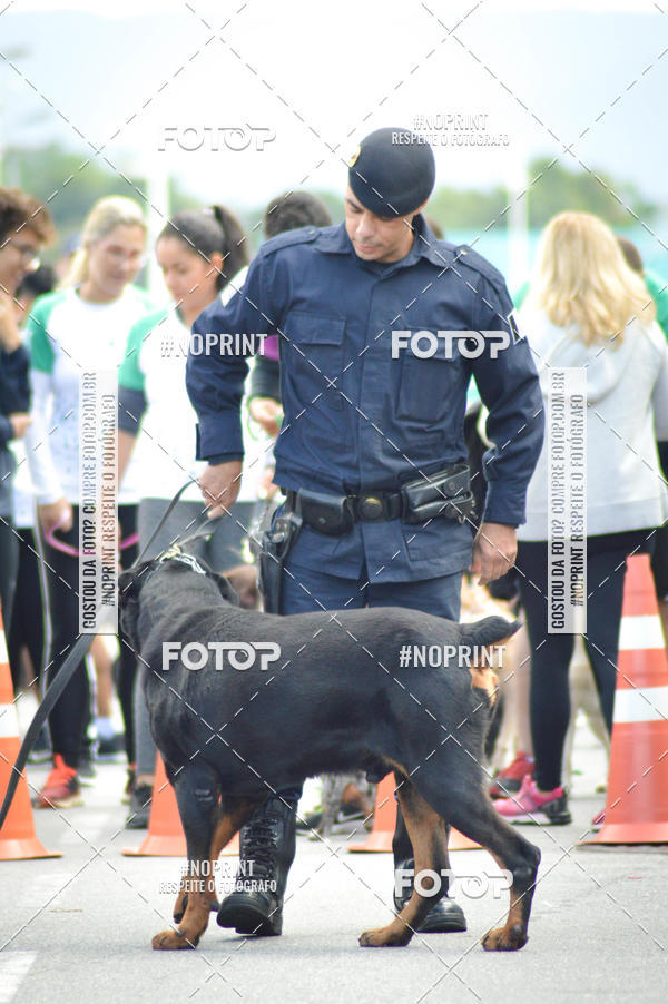 Buy your photos of the eventCorrida 6k Litoral & Co Veloz Dog Run on Fotop
