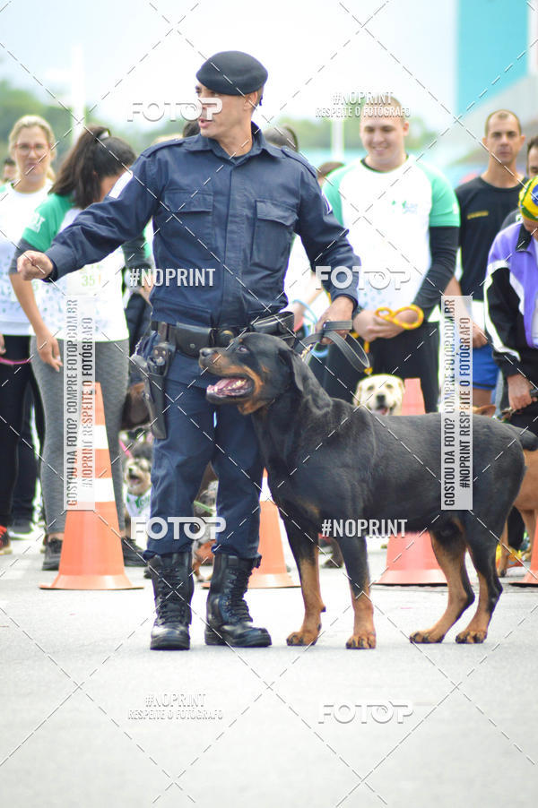 Buy your photos of the eventCorrida 6k Litoral & Co Veloz Dog Run on Fotop