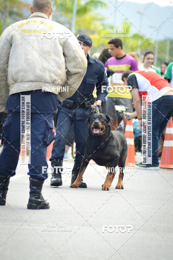 Buy your photos of the eventCorrida 6k Litoral & Co Veloz Dog Run on Fotop