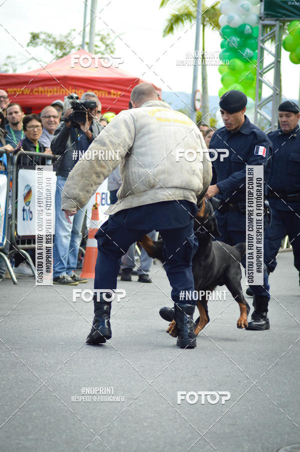 Buy your photos of the eventCorrida 6k Litoral & Co Veloz Dog Run on Fotop