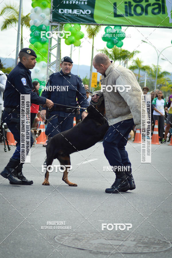 Buy your photos of the eventCorrida 6k Litoral & Co Veloz Dog Run on Fotop