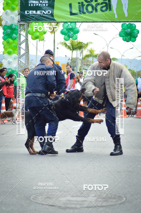 Buy your photos of the eventCorrida 6k Litoral & Co Veloz Dog Run on Fotop