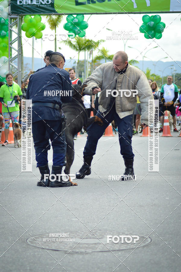 Buy your photos of the eventCorrida 6k Litoral & Co Veloz Dog Run on Fotop