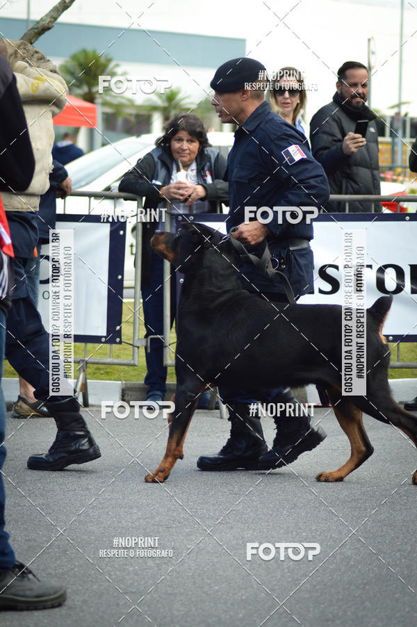 Buy your photos of the eventCorrida 6k Litoral & Co Veloz Dog Run on Fotop