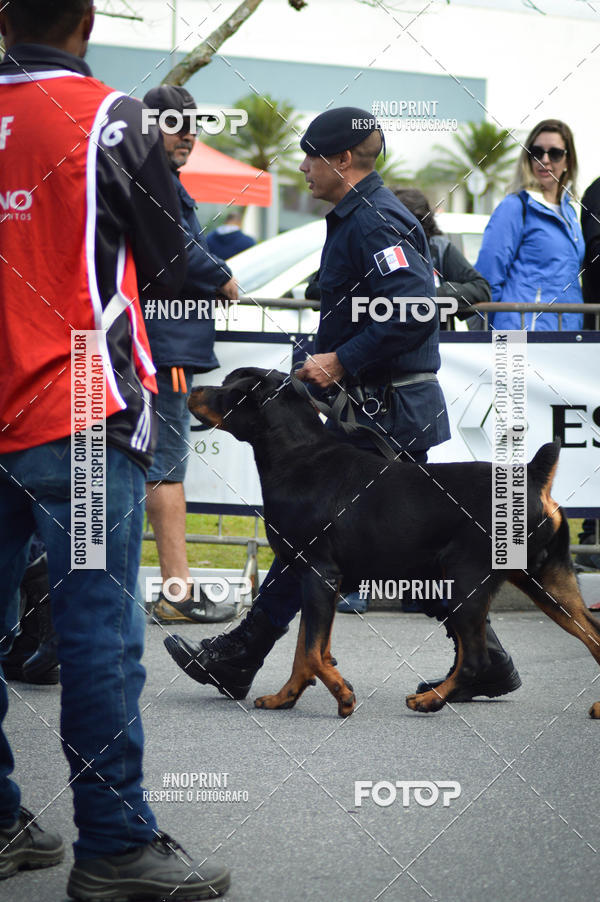 Buy your photos of the eventCorrida 6k Litoral & Co Veloz Dog Run on Fotop
