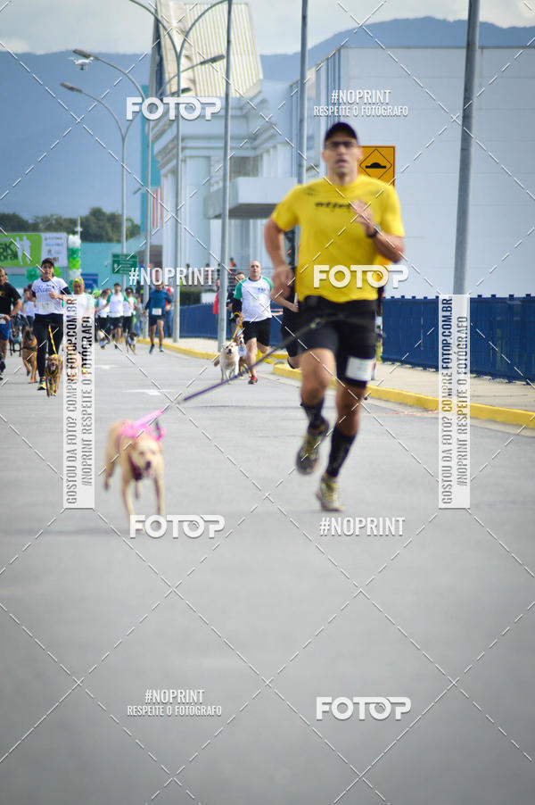 Buy your photos of the eventCorrida 6k Litoral & Co Veloz Dog Run on Fotop