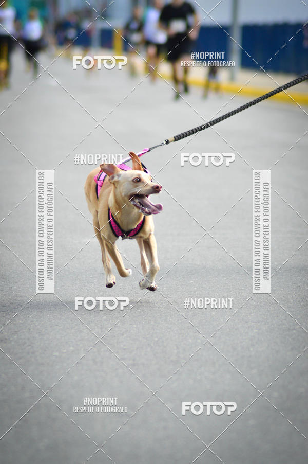 Buy your photos of the eventCorrida 6k Litoral & Co Veloz Dog Run on Fotop