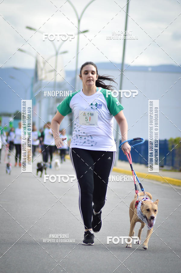 Buy your photos of the eventCorrida 6k Litoral & Co Veloz Dog Run on Fotop