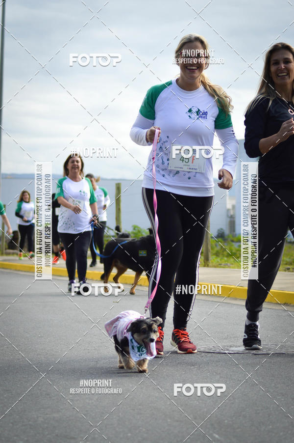 Buy your photos of the eventCorrida 6k Litoral & Co Veloz Dog Run on Fotop