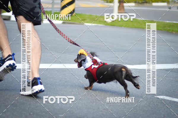 Buy your photos of the eventCorrida 6k Litoral & Co Veloz Dog Run on Fotop