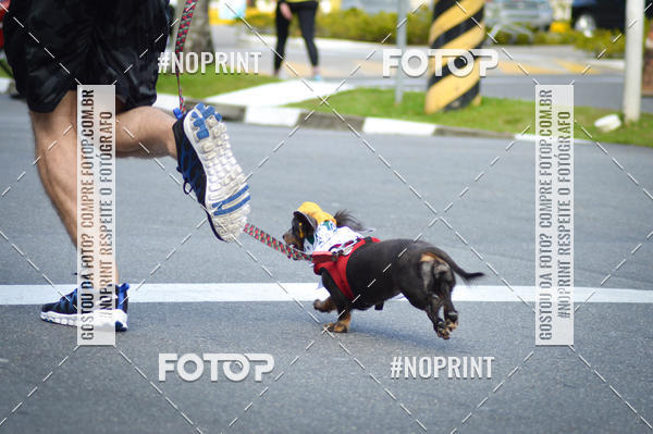 Buy your photos of the eventCorrida 6k Litoral & Co Veloz Dog Run on Fotop