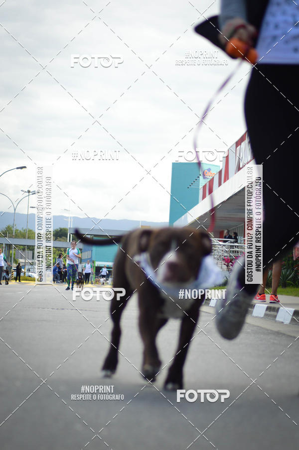 Buy your photos of the eventCorrida 6k Litoral & Co Veloz Dog Run on Fotop