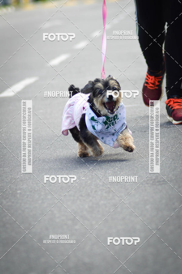 Buy your photos of the eventCorrida 6k Litoral & Co Veloz Dog Run on Fotop