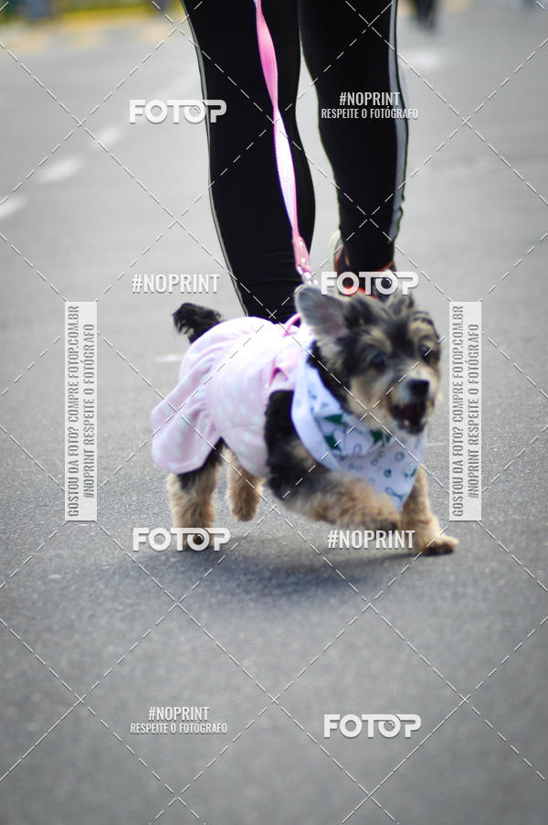Buy your photos of the eventCorrida 6k Litoral & Co Veloz Dog Run on Fotop
