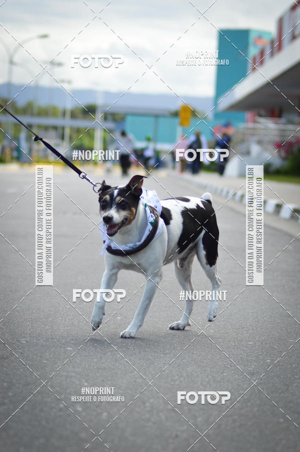 Buy your photos of the eventCorrida 6k Litoral & Co Veloz Dog Run on Fotop