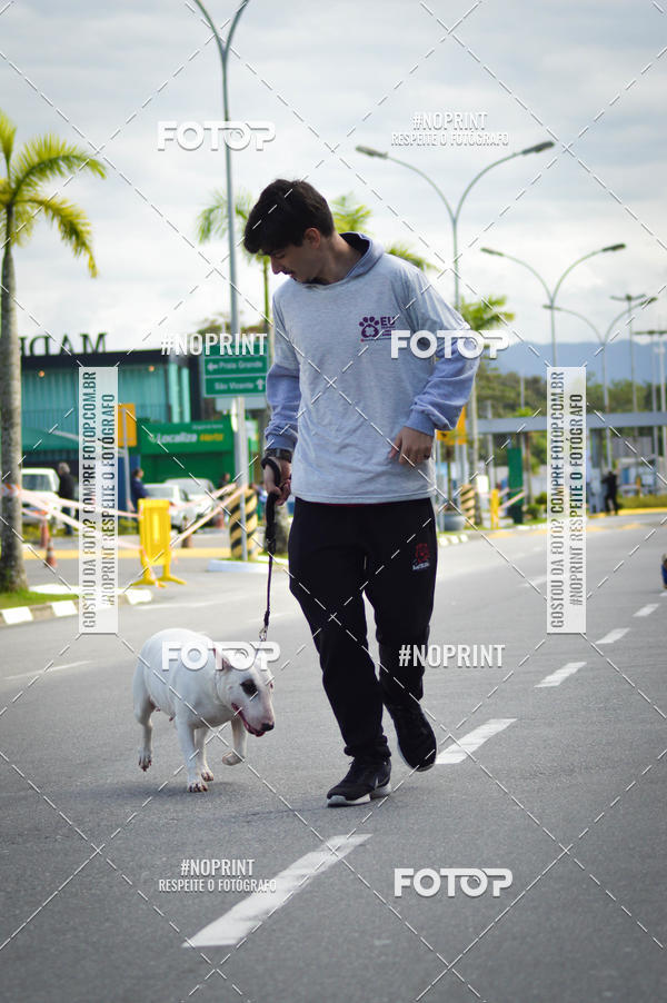 Buy your photos of the eventCorrida 6k Litoral & Co Veloz Dog Run on Fotop